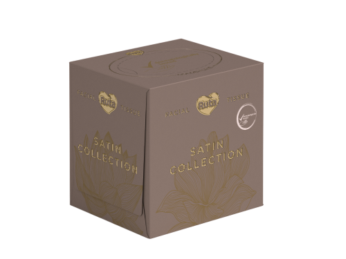Facial tissue Ruta Satin Collection 2-ply 80 sheets